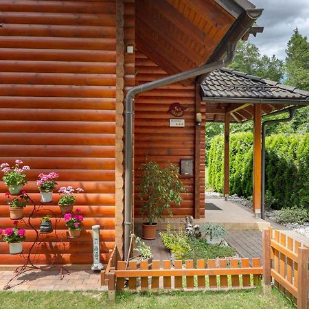 Apartma Metka Medvode Exteriér fotografie