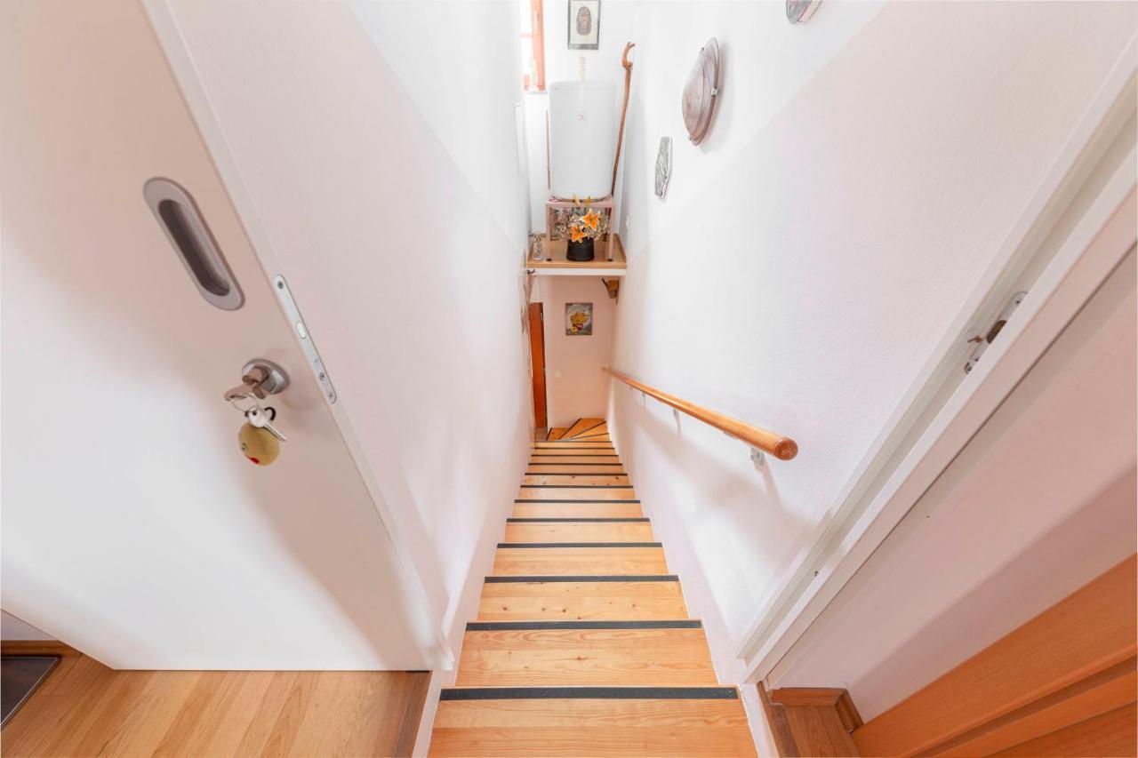 Apartma Metka Medvode Exteriér fotografie