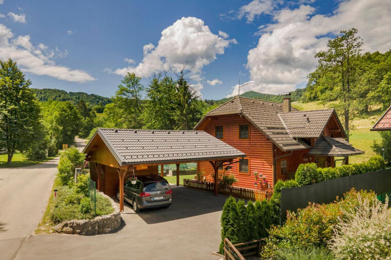 Apartma Metka Medvode Exteriér fotografie