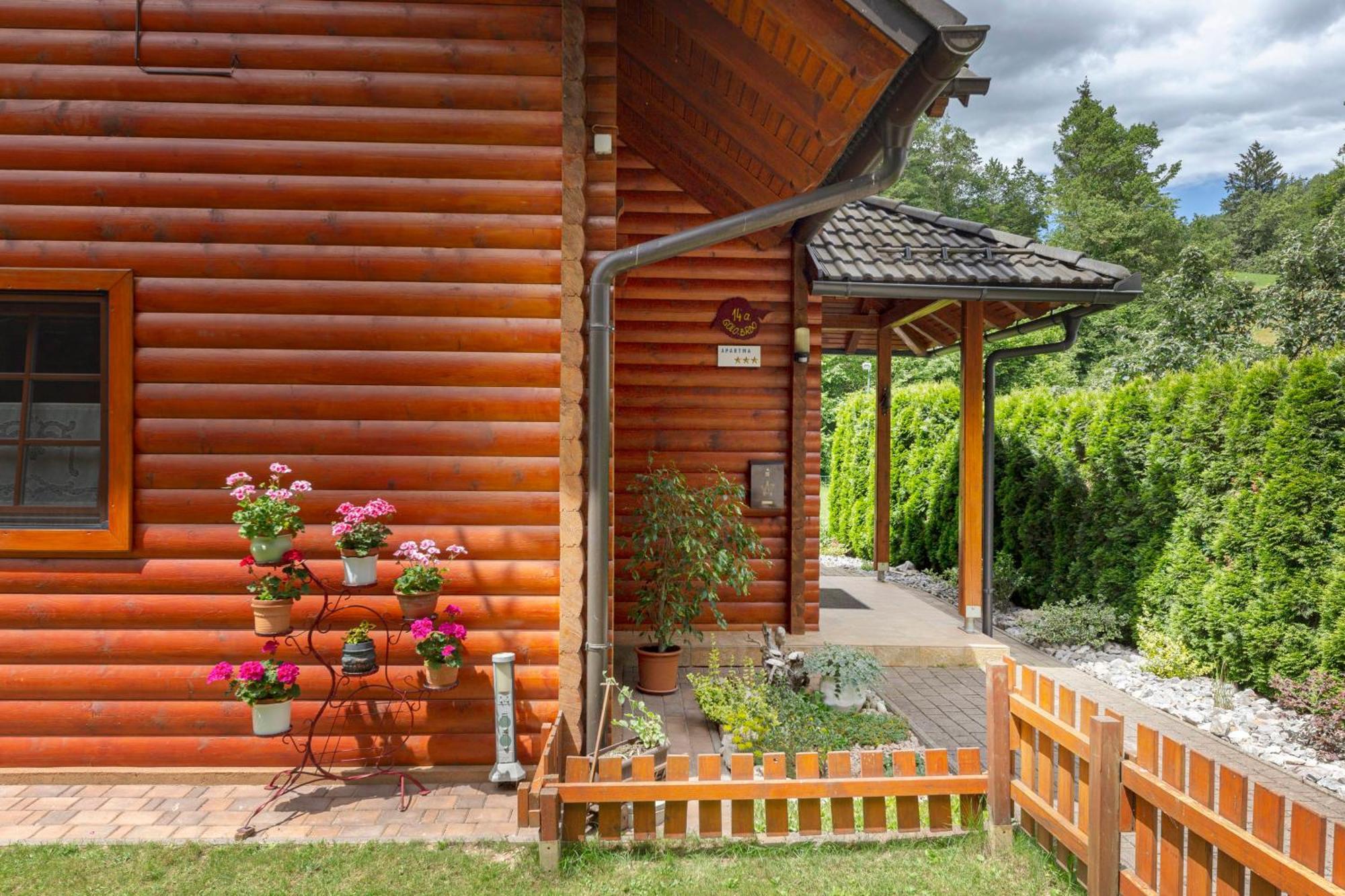 Apartma Metka Medvode Exteriér fotografie