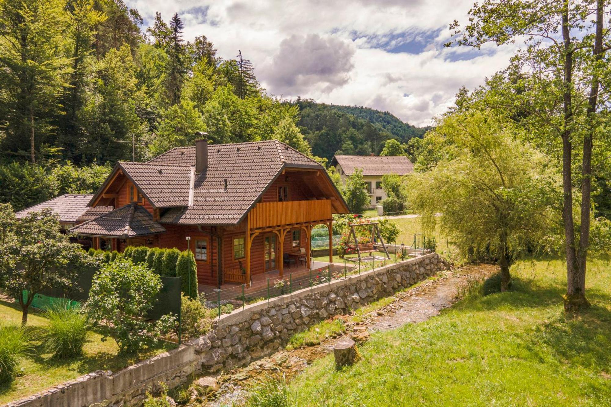 Apartma Metka Medvode Exteriér fotografie