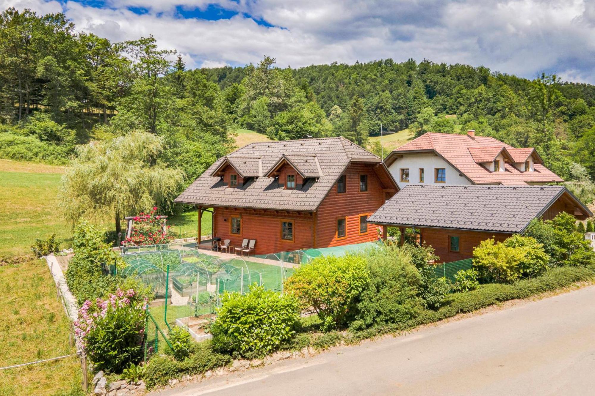 Apartma Metka Medvode Exteriér fotografie
