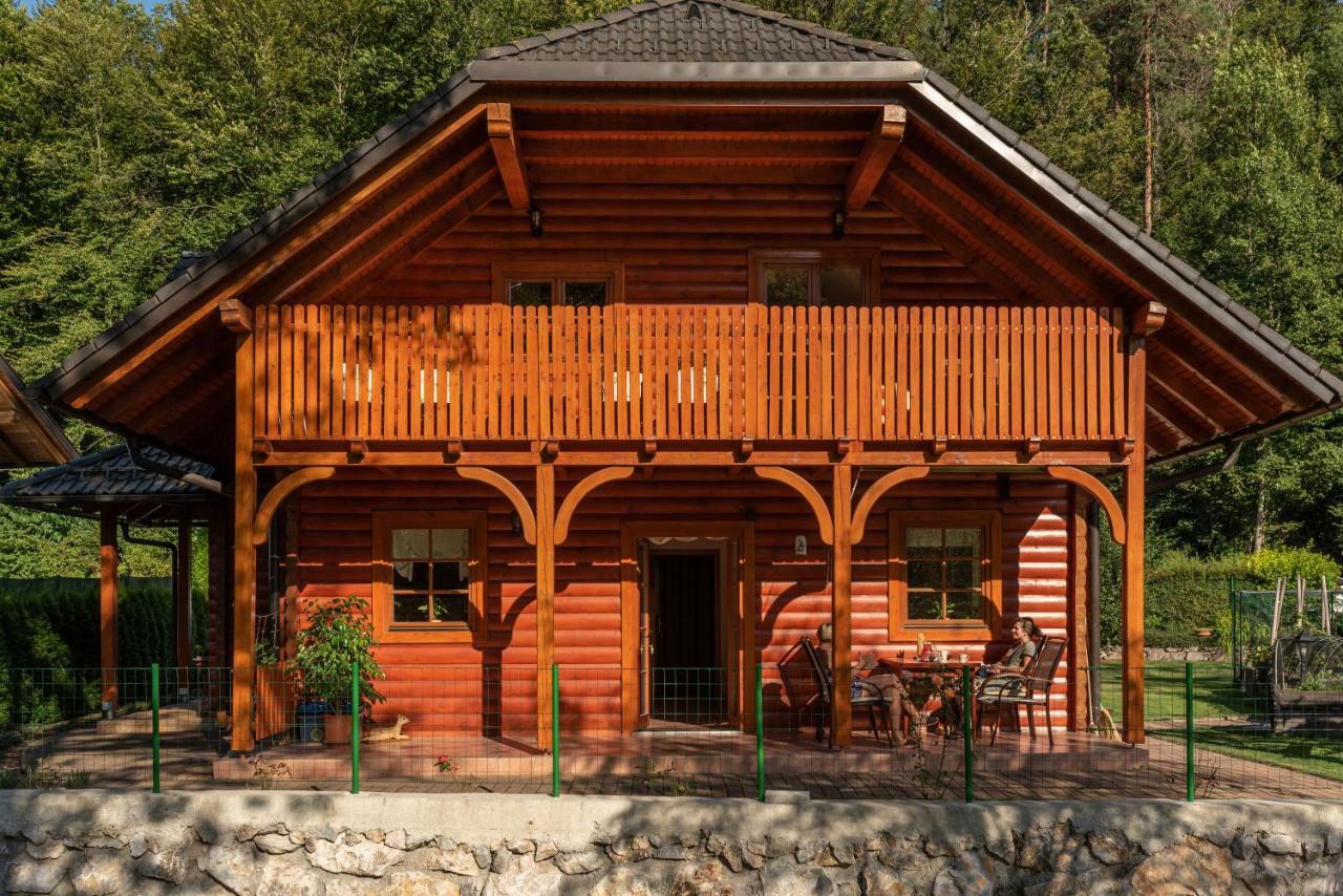 Apartma Metka Medvode Exteriér fotografie